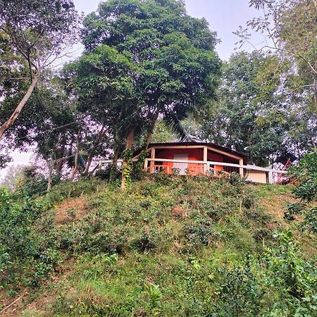 Jungle cottage Sreemangal Camera foto